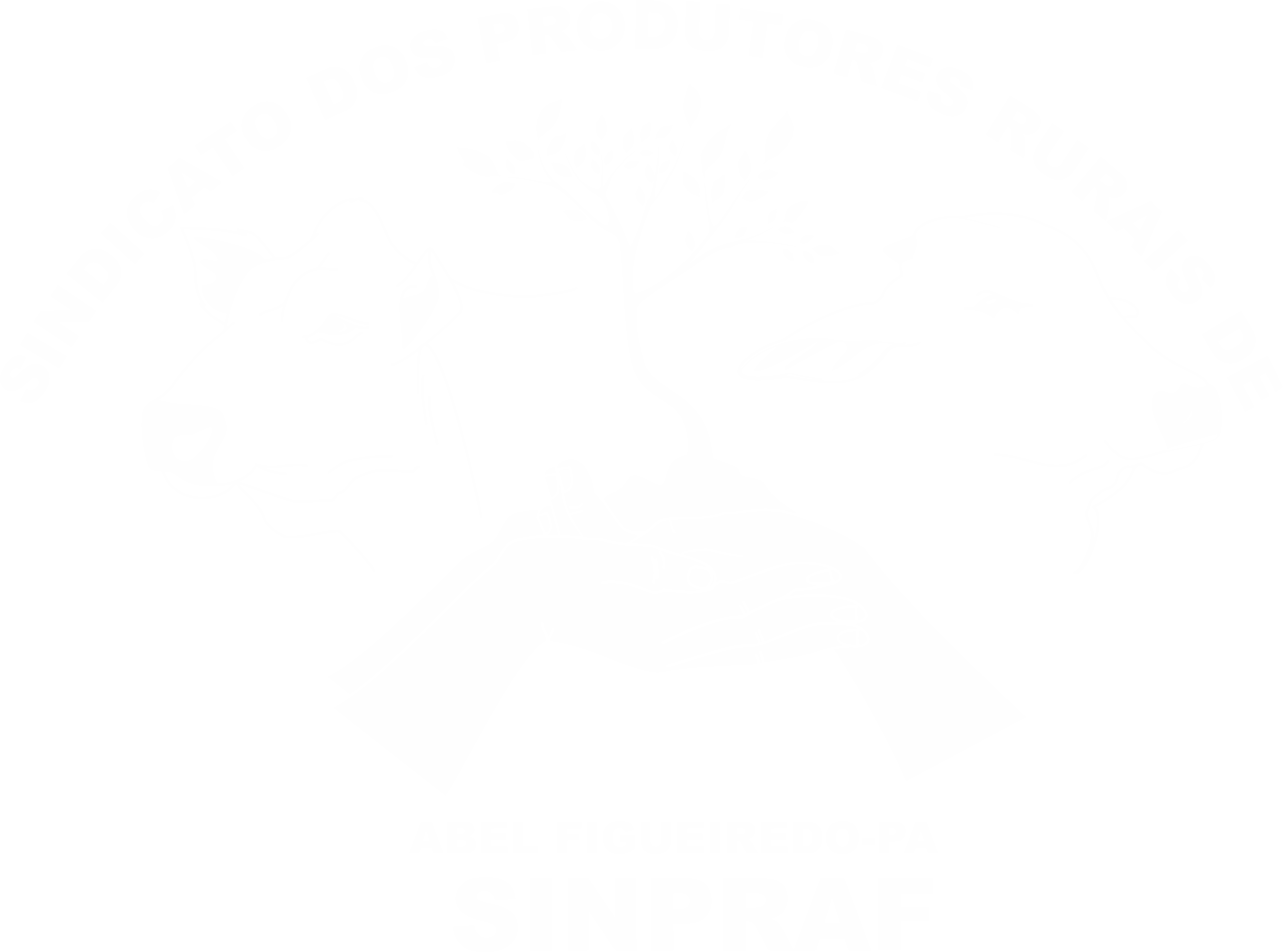 SINDICATO DOS PRODUTORES RURAIS DE ABEL FIGUEIREDO